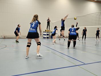 VBC Lyss Mixed A vs. TV Ostermundigen Hornets